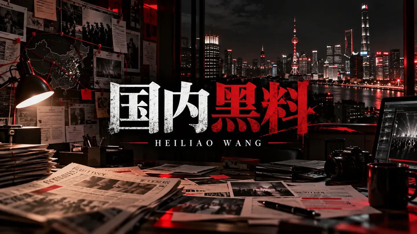国内黑料：把公共争议还原为背景